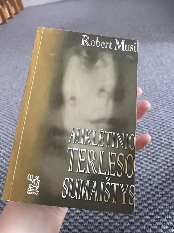 Auklėtinio Terleso sumaištys - Robert Musil, knyga 2