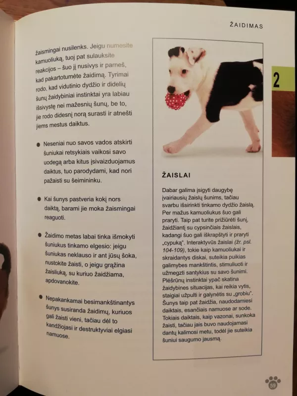 Kaip susikalbėti su savo šunimi - David Alderton, knyga 4