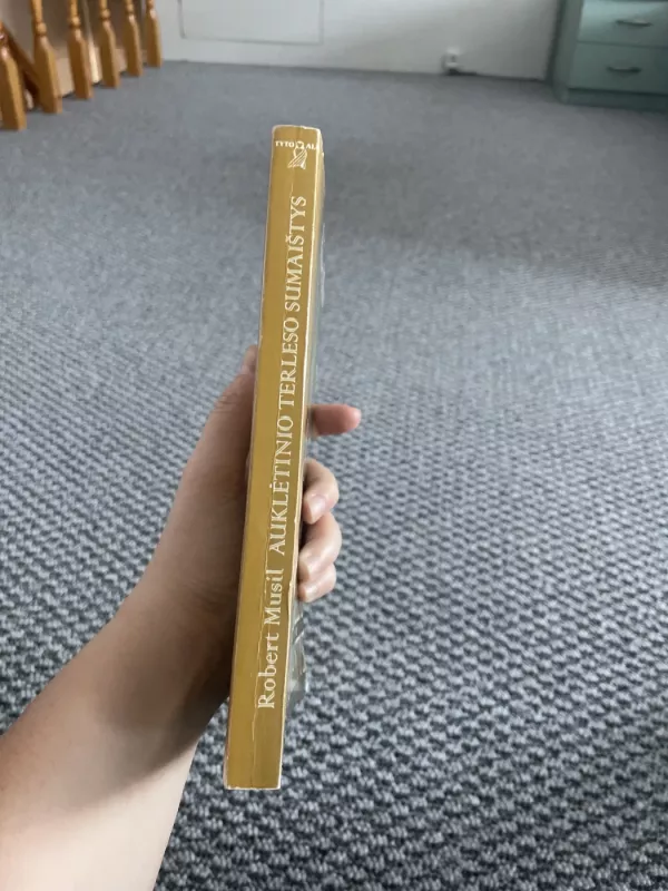 Auklėtinio Terleso sumaištys - Robert Musil, knyga 3