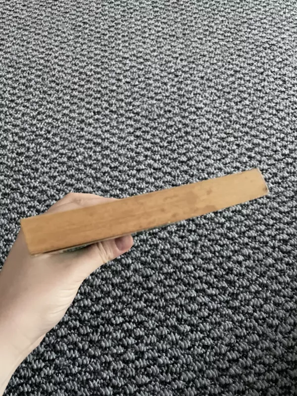 Romanų romanas - Joana Chmielevska, knyga 4