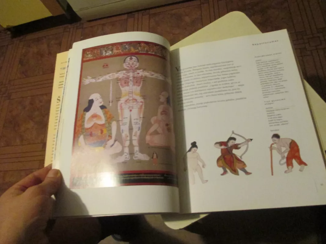 Tibeto gydymo menas - Ian A. Baker, knyga 5