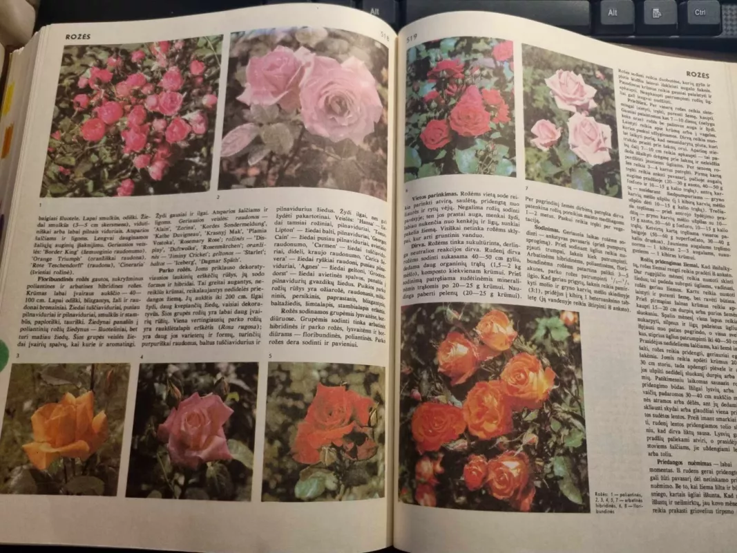 Namų ūkio enciklopedija - Autorių Kolektyvas, knyga 5