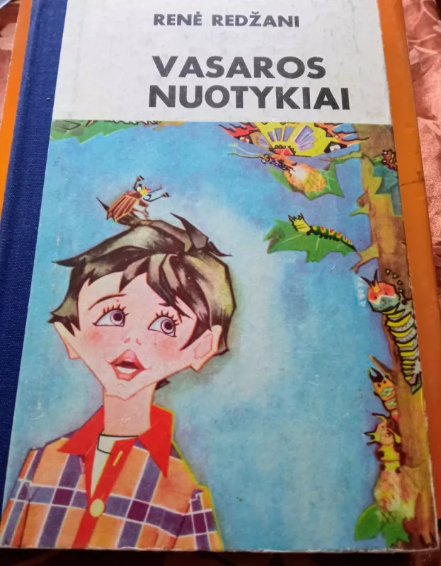 Vasaros nuotykiai - Renė Redžani, knyga 2