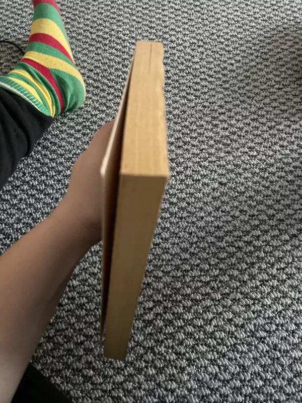 Neliksiu nepastebėta - Eva Wlodarek, knyga 4