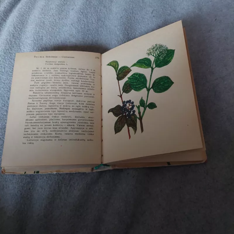 Lietuvos miškų augalai - R. Murkaitė, knyga 3
