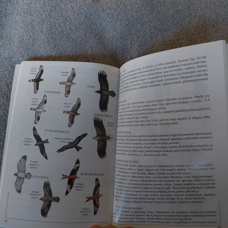 Miškas ir paukščiai - Petras Kurlavičius, Eugenijus Drobelis, knyga 2