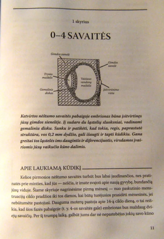 Nėščios moters vadovas - Marjorie Greenfield, knyga 5