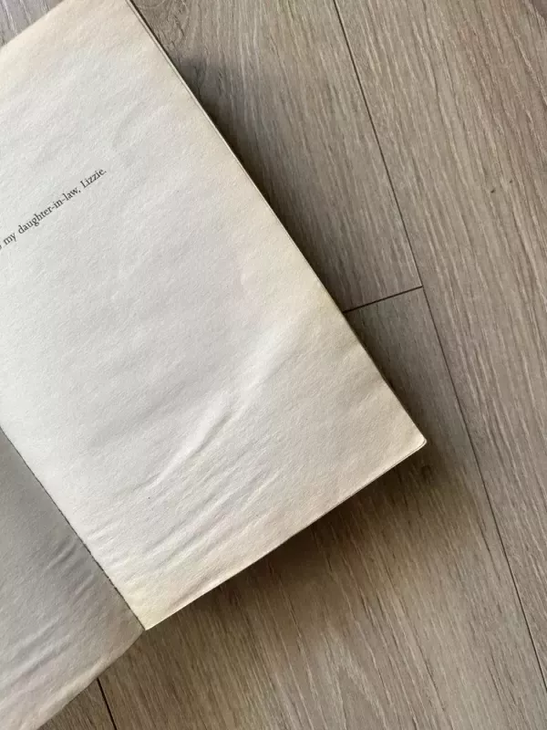 A Step In The Dark - Judith Lennox, knyga 3