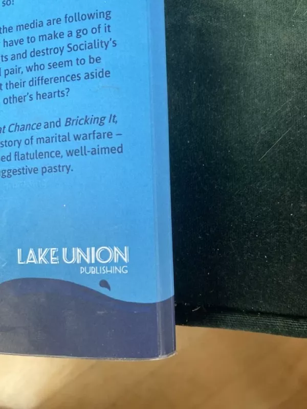 Mad Love - Nick Spalding, knyga 3