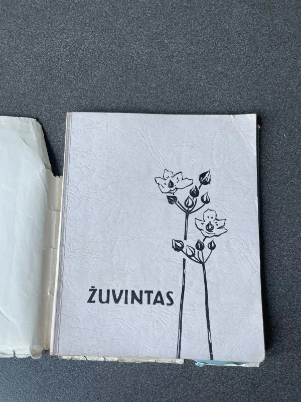 Žuvintas - T. Ivanauskas, ir kiti , knyga 3