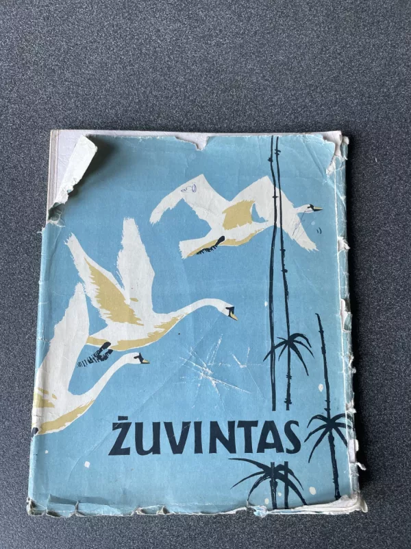 Žuvintas - T. Ivanauskas, ir kiti , knyga 4