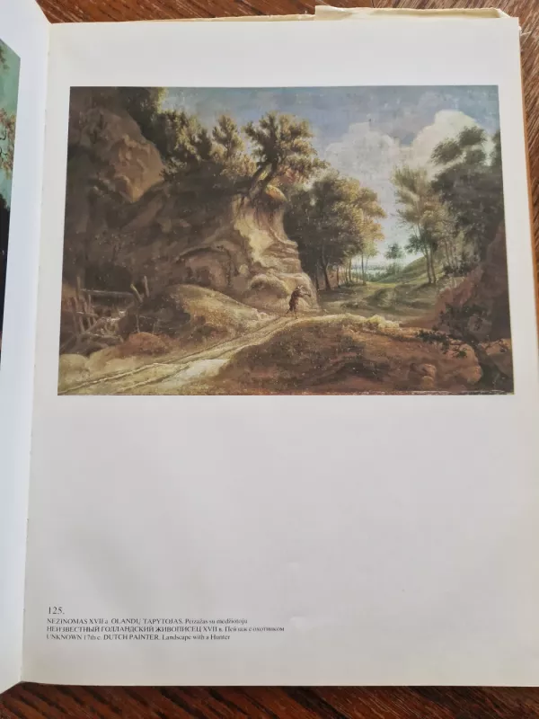 Vakarų Europos tapyba - Autorių Kolektyvas, knyga 3