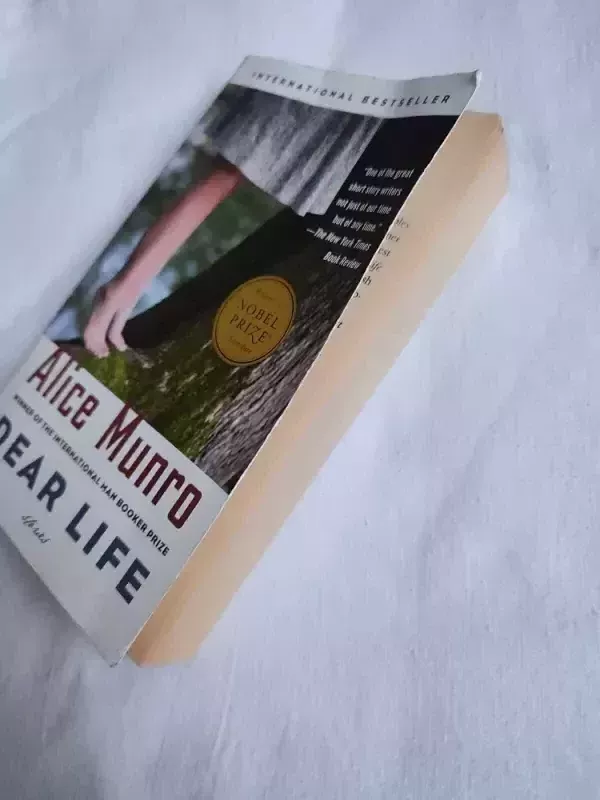 Dear Life - Alice Munro, knyga 4