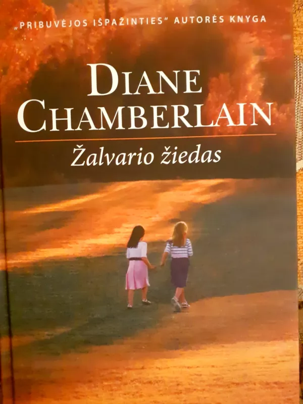 Žalvario žiedas - Diane Chamberlain, knyga 2