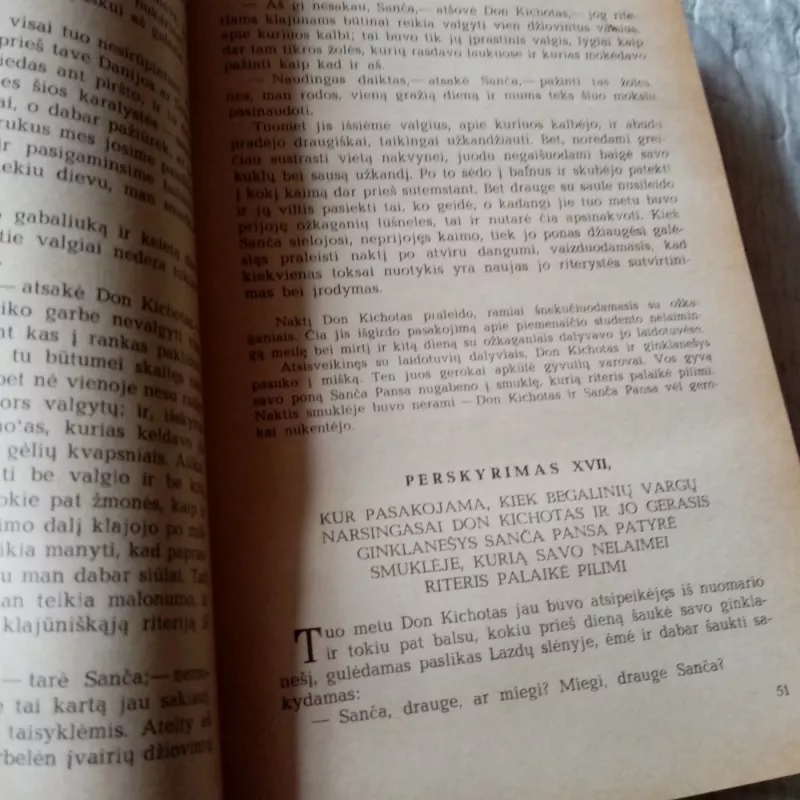 Don Kichotas - Migelis Servantesas, knyga 5