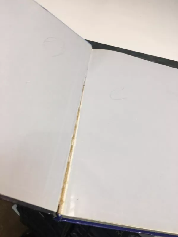 Šunys. Enciklopedija ( 2 dalys) - Autorių Kolektyvas, knyga 6