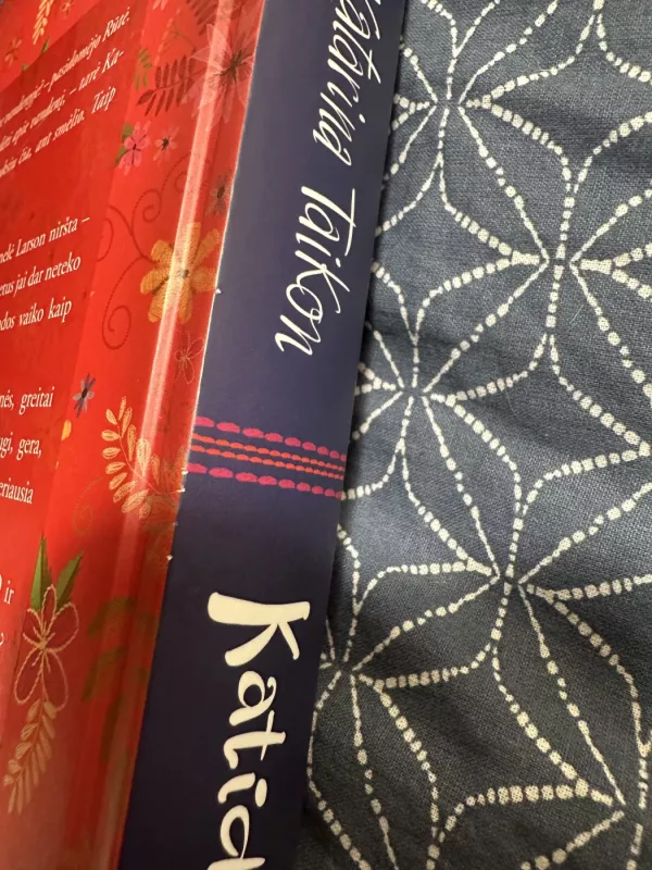 Katidzė - Katarina Taikom, knyga 6