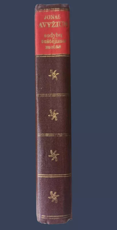 Sodybų tuštėjimo metas - Jonas Avyžius, knyga 4