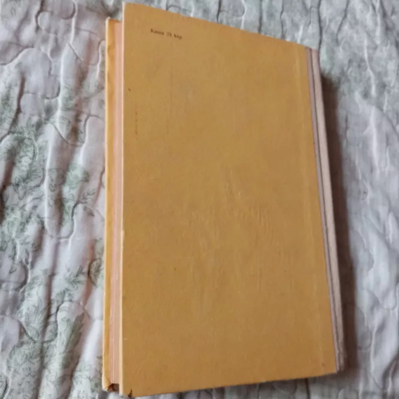 Don Kichotas - Migelis Servantesas, knyga 6