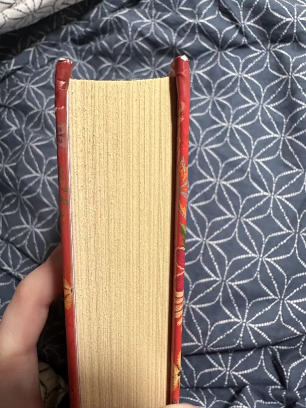 Katidzė - Katarina Taikom, knyga 4