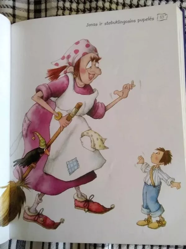 Pasaulio pasakos su žodynu - Rasa Mielkuvienė, knyga 5