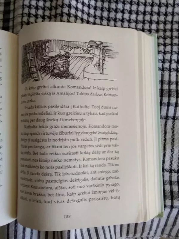 Emilis iš Lionebergos - Astrid Lindgren, knyga 5