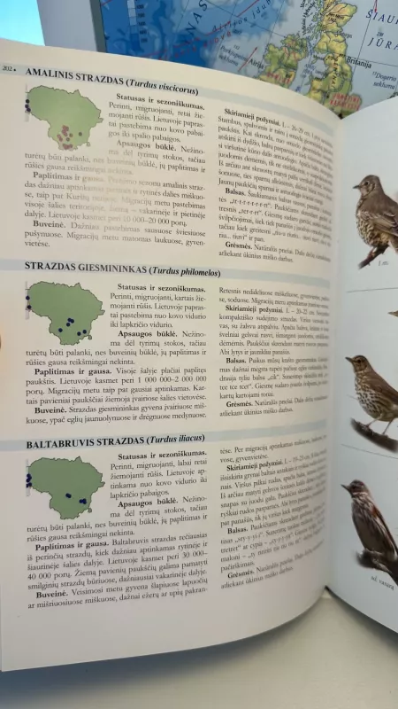 Lietuvos paukščių pažinimo vadovas - Vytautas Jusys, knyga 3