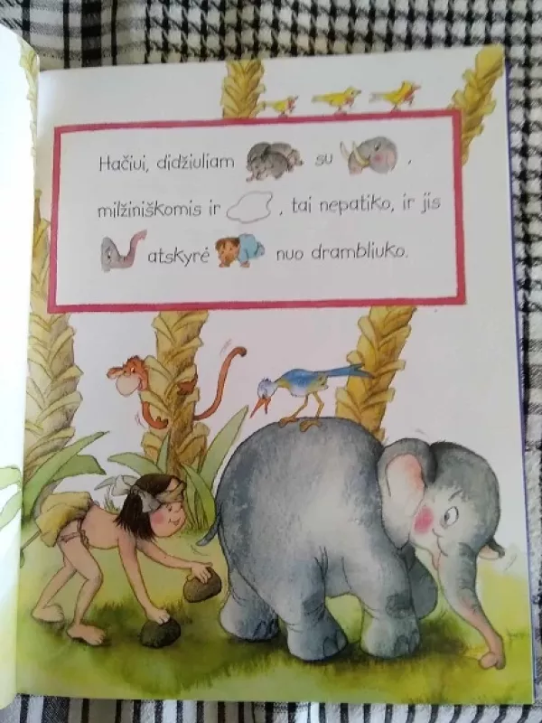 Pasaulio pasakos su žodynu - Rasa Mielkuvienė, knyga 6