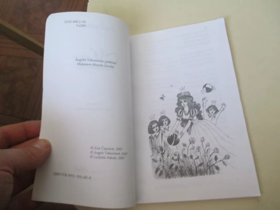 Motinos vaduotojas - Zita Čepulytė, knyga 6