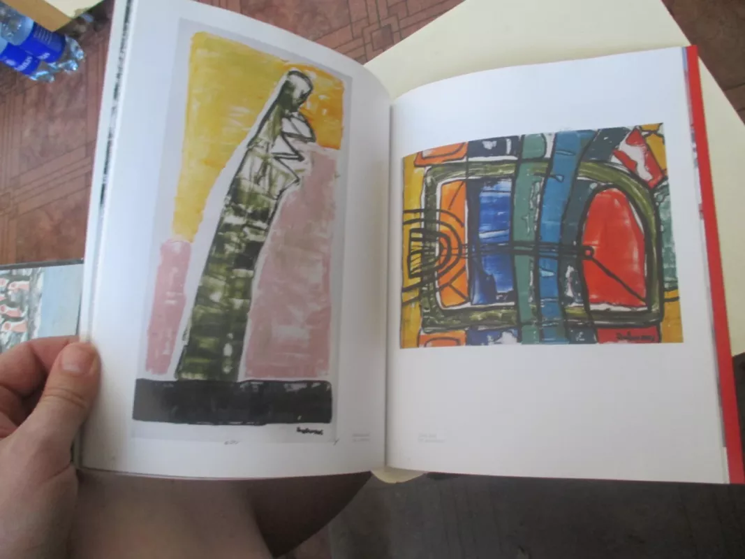 Jūratis Zalensas - Arvydas Zalpys, knyga 6