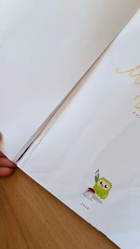 Mažylio receptai - Jurgita Surplienė, knyga 6