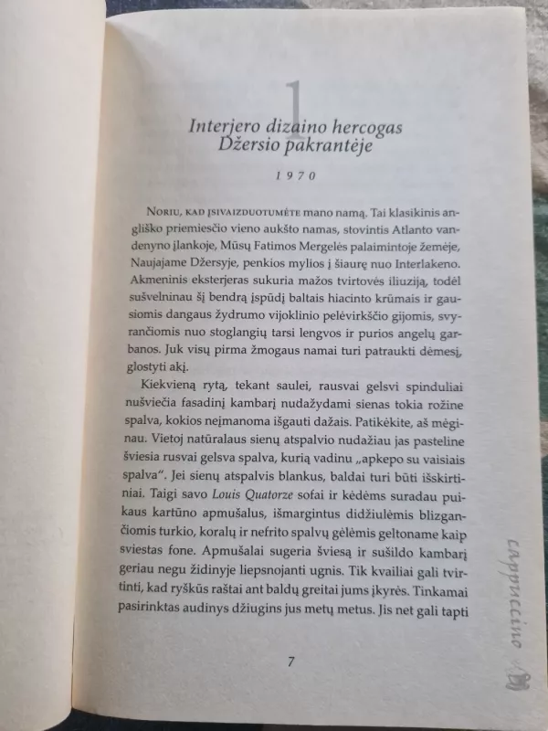 Rokokas - Adriana Trigiani, knyga 3