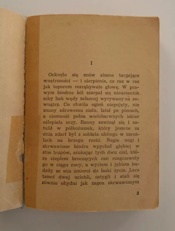 Wierna rzeka - Stefan Žeromski, knyga 6