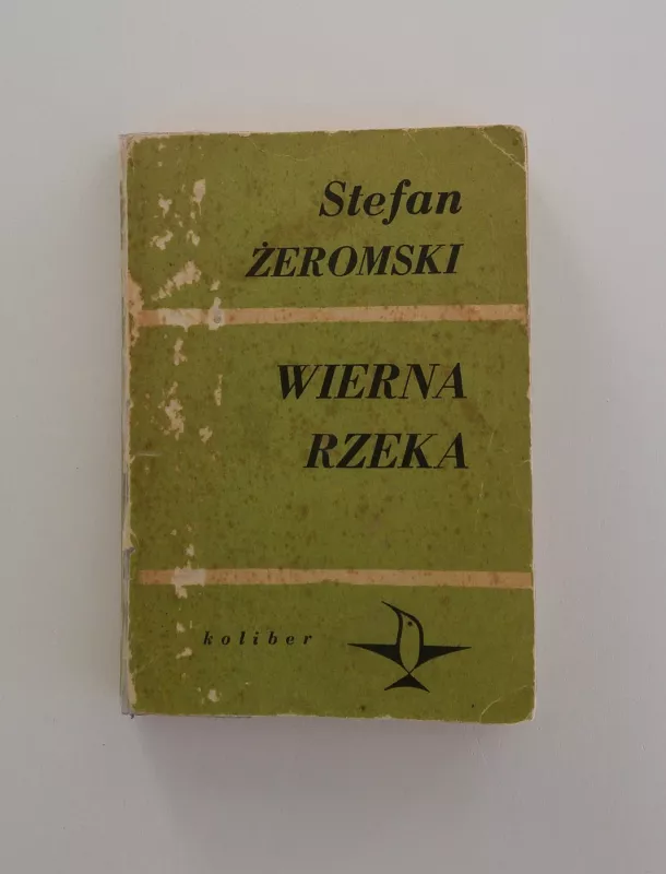 Wierna rzeka - Stefan Žeromski, knyga 2