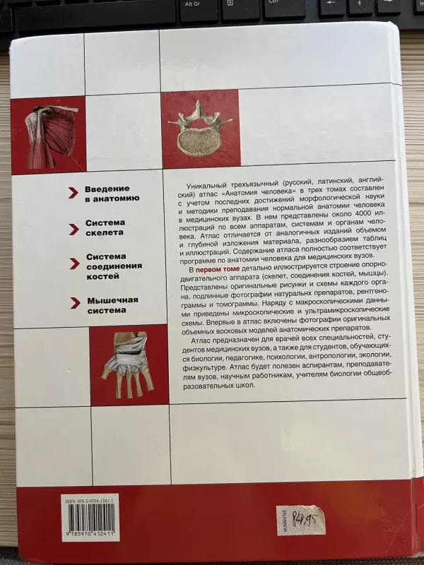 Žmogaus anatomijos atlasas - Autorių Kolektyvas, knyga 4