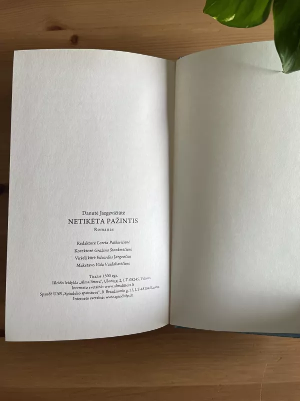 Netikėta pažintis - Danutė Jazgevičiūtė, knyga 4