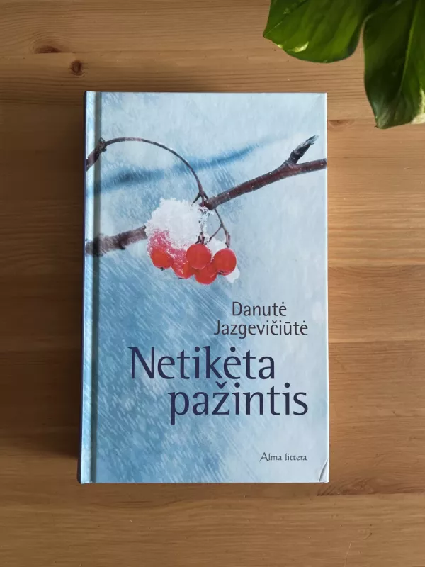 Netikėta pažintis - Danutė Jazgevičiūtė, knyga 2