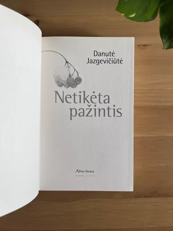 Netikėta pažintis - Danutė Jazgevičiūtė, knyga 3