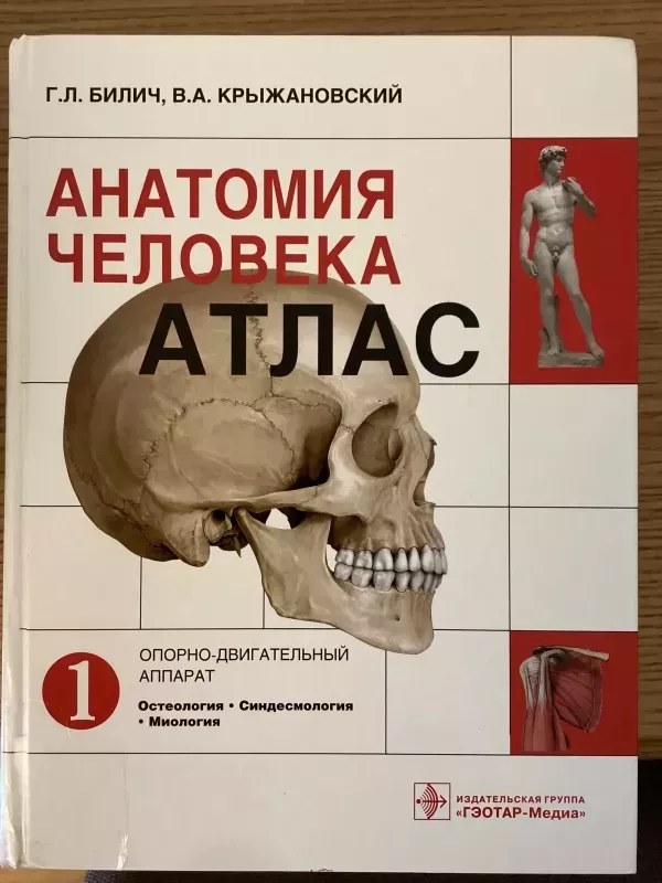 Žmogaus anatomijos atlasas - Autorių Kolektyvas, knyga 2