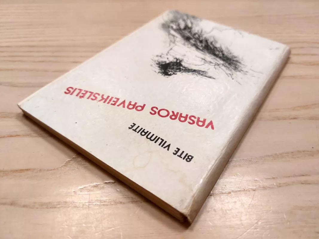 Vasaros paveikslėlis - Bitė Vilimaitė, knyga 3