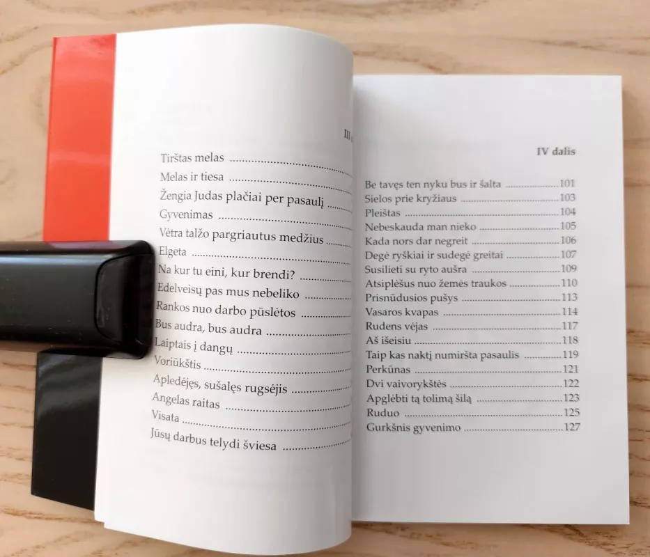 Kažkam - Gintautas Labanauskas, knyga 5