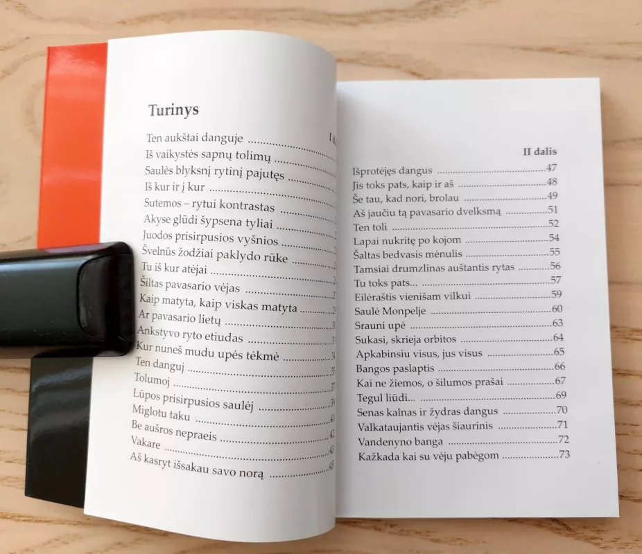 Kažkam - Gintautas Labanauskas, knyga 4