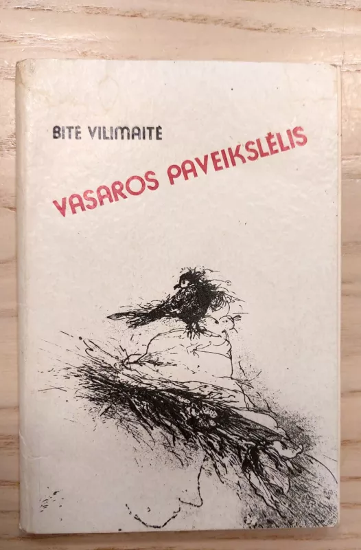 Vasaros paveikslėlis - Bitė Vilimaitė, knyga 2