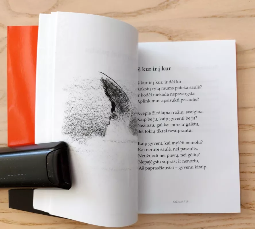 Kažkam - Gintautas Labanauskas, knyga 6