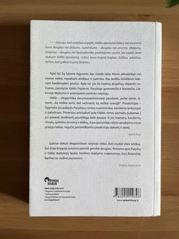 Odilė arba Oro uostų vienatvė - Valdas Papievis, knyga 4