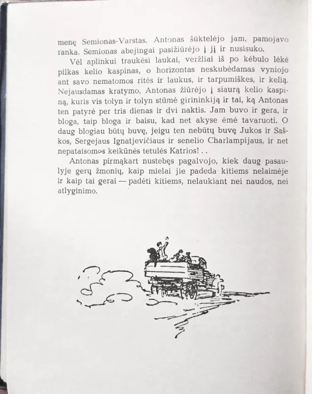 Beržinė košė - N. Dubovas, knyga 5