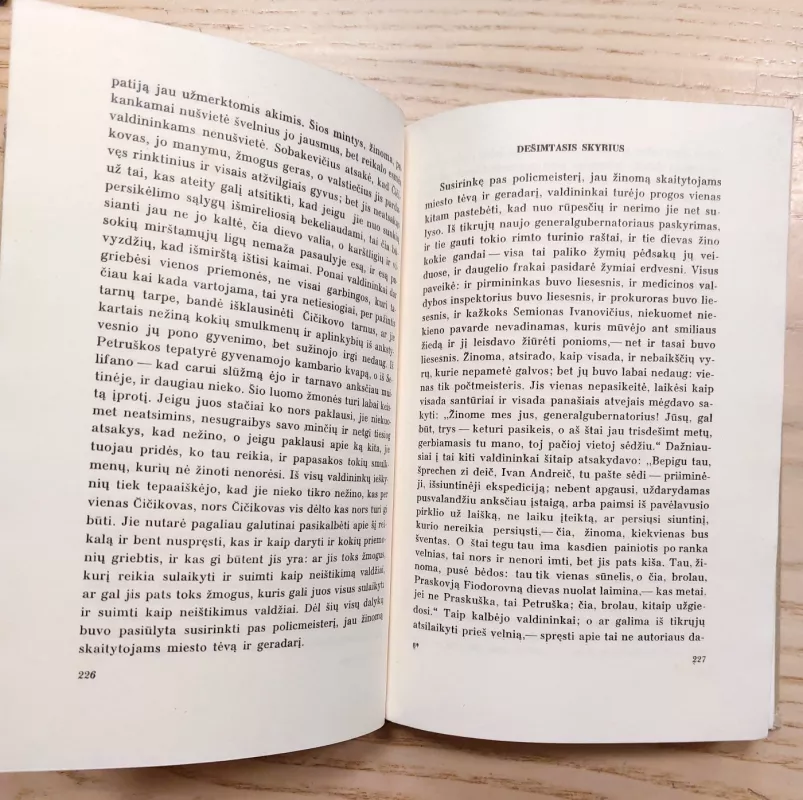 Mirusios sielos - Nikolajus Gogolis, knyga 6