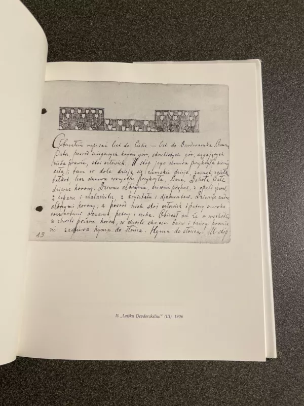 Žodžio kūryba - Autorių Kolektyvas, knyga 2