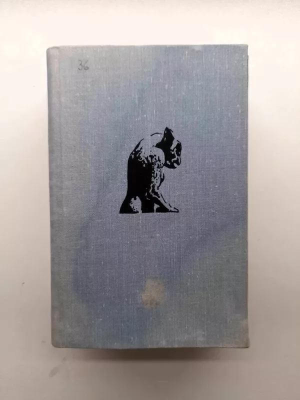 Susitikimas su Prancūzija - M. Kaniauskas, knyga 3