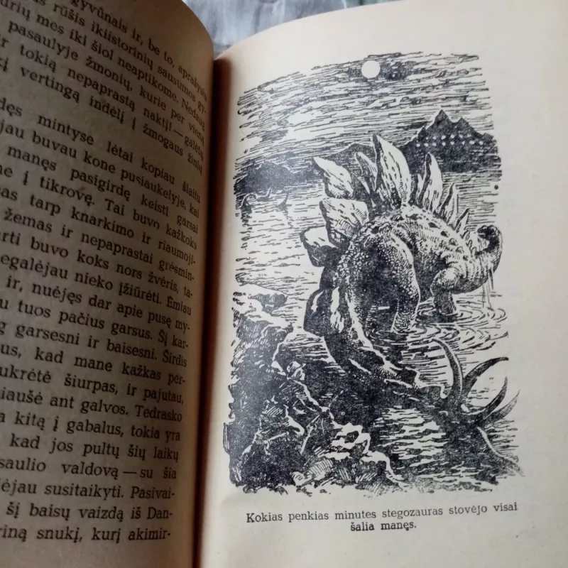 Paslaptinga šalis - Autorių Kolektyvas, knyga 4